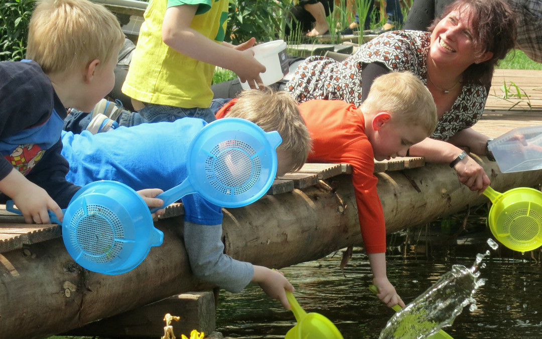 Kinder erforschen die Umwelt